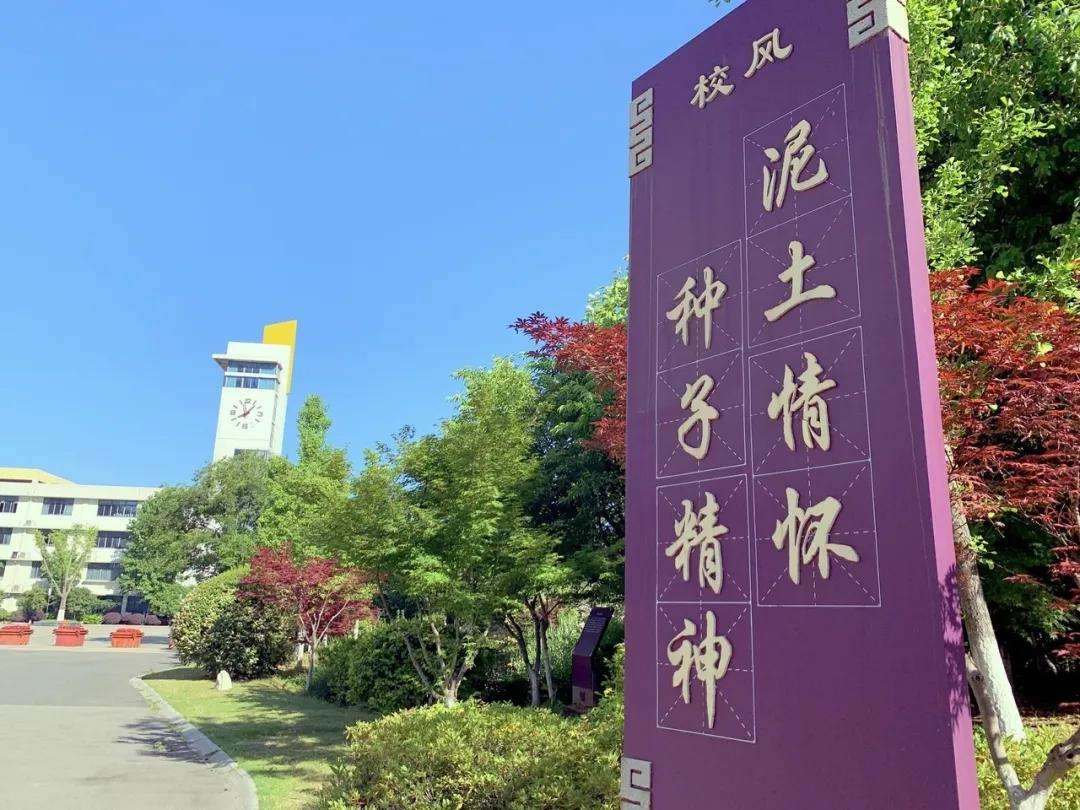 中华中学在南京排名,在重点中学排名第几