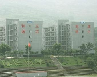 重庆市公立卫校排名榜，重庆排名前十的公立学校