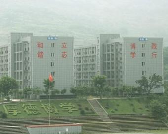 重庆市公立卫校排名榜,重庆排名前十的公立学校
