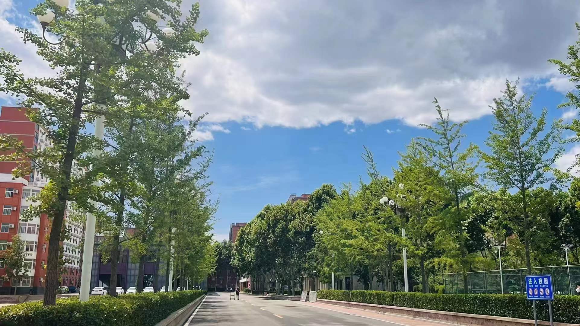 计算机培训学校学费,多少钱一年