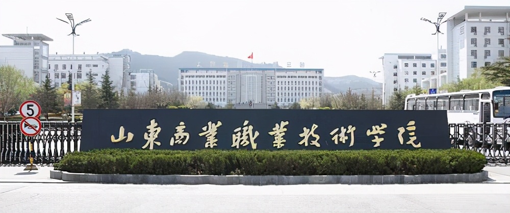 山东省职业技术学校排行榜,2022学院排名