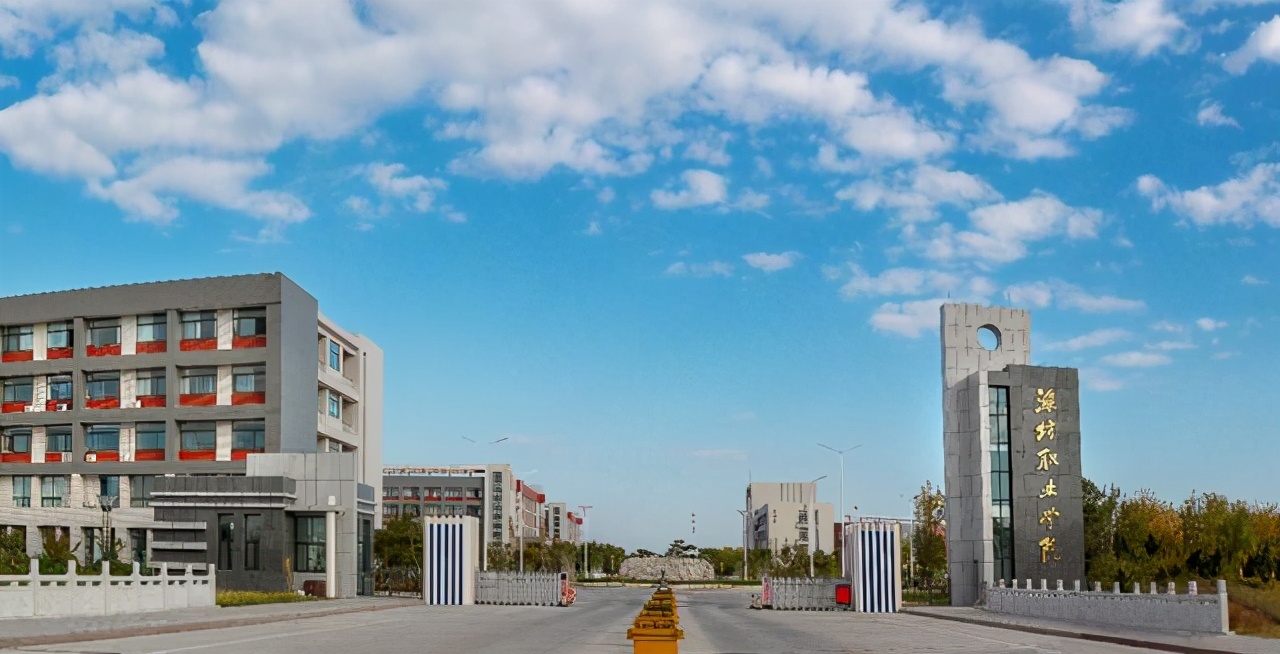 山东省职业技术学校排行榜,2022学院排名