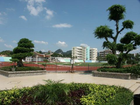 柳州重点高中排名,2022最新排行榜