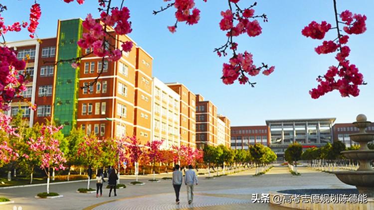 云南建设学校学费多少,云南的职业学院学费多少