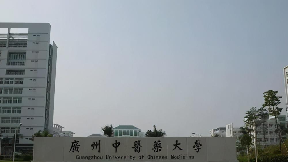 中医学院排名前二十的大学,中国最好的中医药大学排名