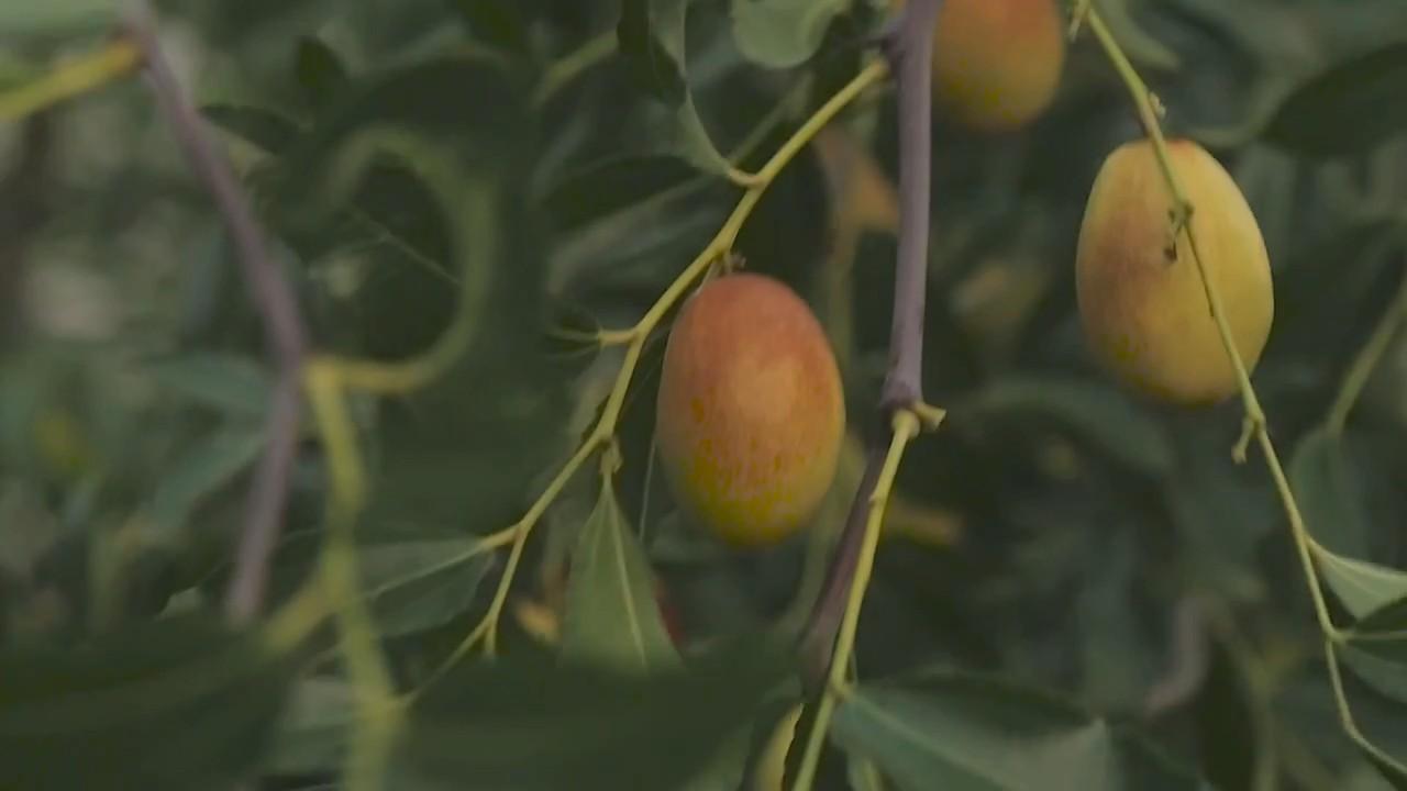 山西特产排行榜前十名,山西最有名十大土特产
