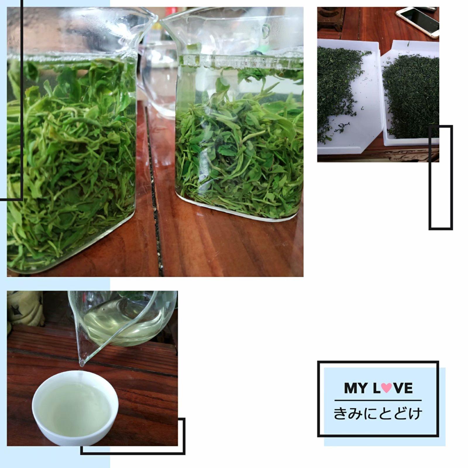 酸枣叶茶多少钱一斤现在,正宗的酸枣叶茶价格及图片