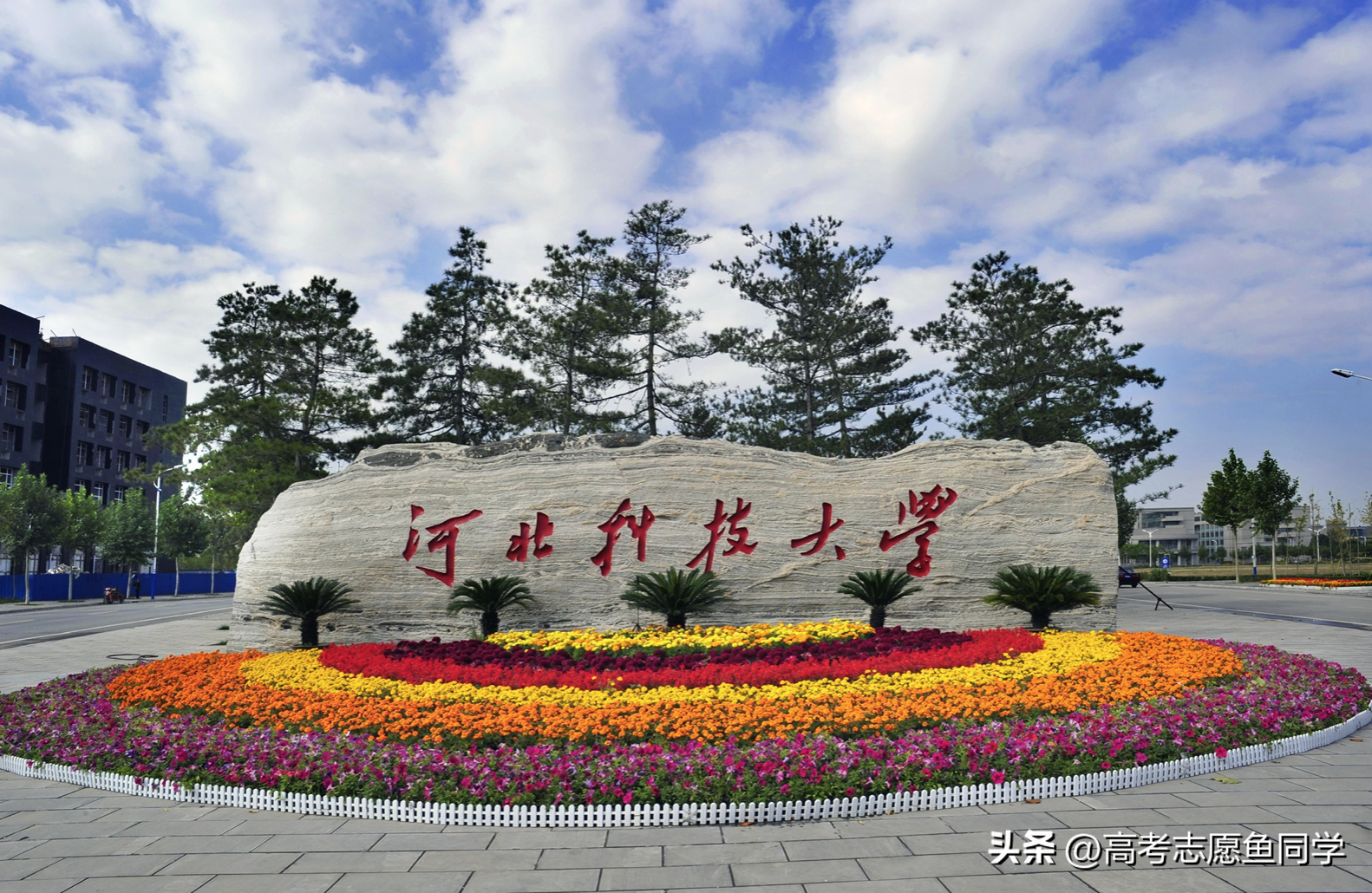 河北排名前十的大学有哪些,2022河北大学排名前十名